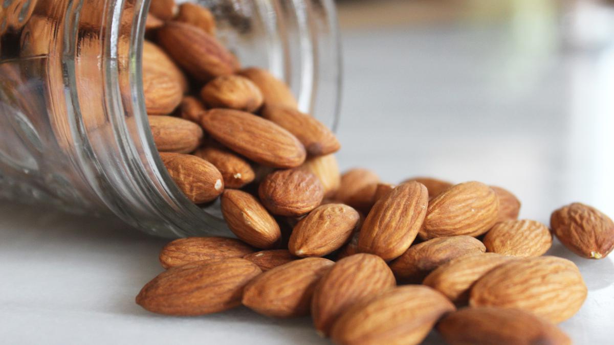 Manfaat Almond untuk Otak Health