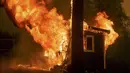 Sebuah gudang terbakar saat kebakaran yang terjadi di dekat Mountain Ranch , Kalifornia, Amerika Serikat, Jumat (11/9/2015). Gubernur Kalifornia, Jerry Brown mengumumkan keadaan darurat untuk wilayah Amador dan Calaveras. (REUTERS/Noah Berger)