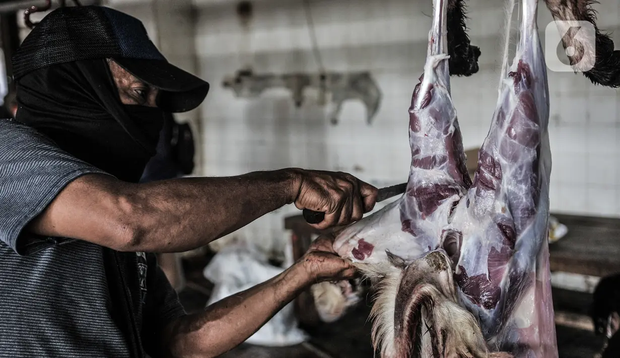 Petugas menguliti hewan kurban Idul Adha di RPH Pulogadung, Jakarta, Jumat (31/7/2020). RPH Pulogadung menyembelih 50 sapi dan puluhan kambing dengan proses pemotongan sesuai syariat Islam dan protokol kesehatan guna mencegah penyebaran COVID-19. (merdeka.com/Iqbal S. Nugroho)