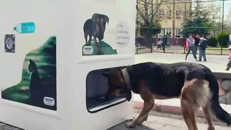 Vending Machine Khusus Anjing dan Kucing Ada di Istambul