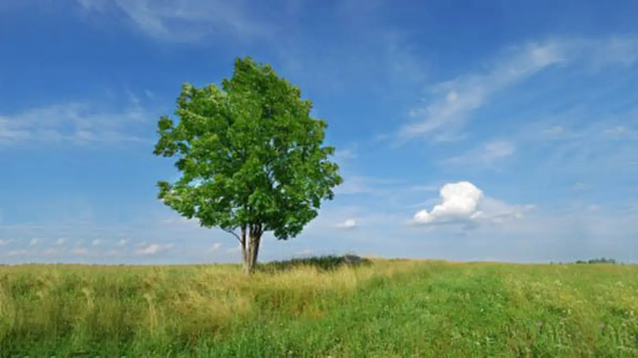 Foto dok. Vemale.com