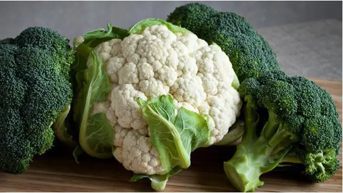 Foto : Copyright shutterstock.com