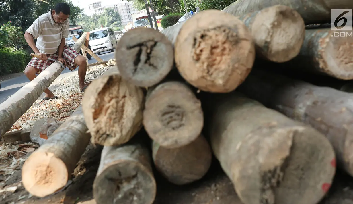 Pedagang menyerut batang pohon pinang yang dijual di kawasan Manggarai, Jakarta, Kamis (3/7). Pohon pinang tersebut dijual seharga Rp900ribu perbatang, yang banyak digunakan untuk meramaikan perlombaan perayaan HUT RI. (Liputan6.com/Immanuel Antonius)