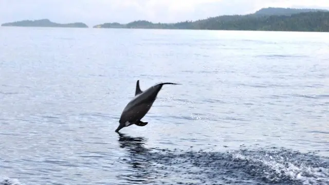 Papua