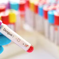 Ilustrasi dengue (Foto: Shutterstock)