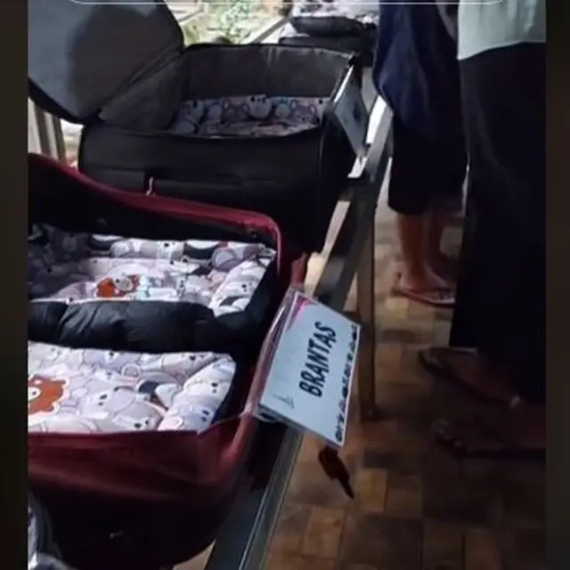 Soraya Haque Ajak Warganet Donasi Koper Bekas untuk Tempat Tidur Anjing di Penampungan Hewan