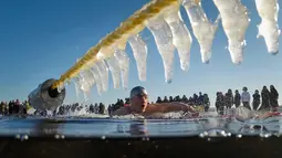 Seorang peserta mengikuti kompetisi renang es Big Neva Cup di sungai Neva di St.Petersburg, Rusia, (4/3). Sekitar 150 peserta mengikuti kompetisi renang dengan suhu minus 10 derajat celcius. (AP Photo/Dmitri Lovetsky)