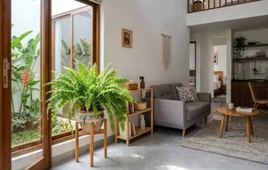 6 Tanaman Indoor yang Bisa Menjaga Kelembapan Rumah, Pilihan Alami untuk Hunian