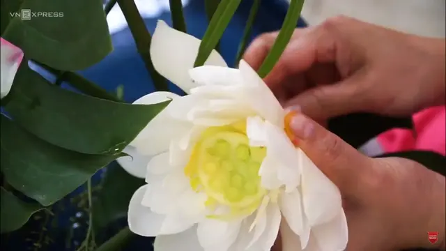 Seni Ukir Bunga dari Buah Pepaya