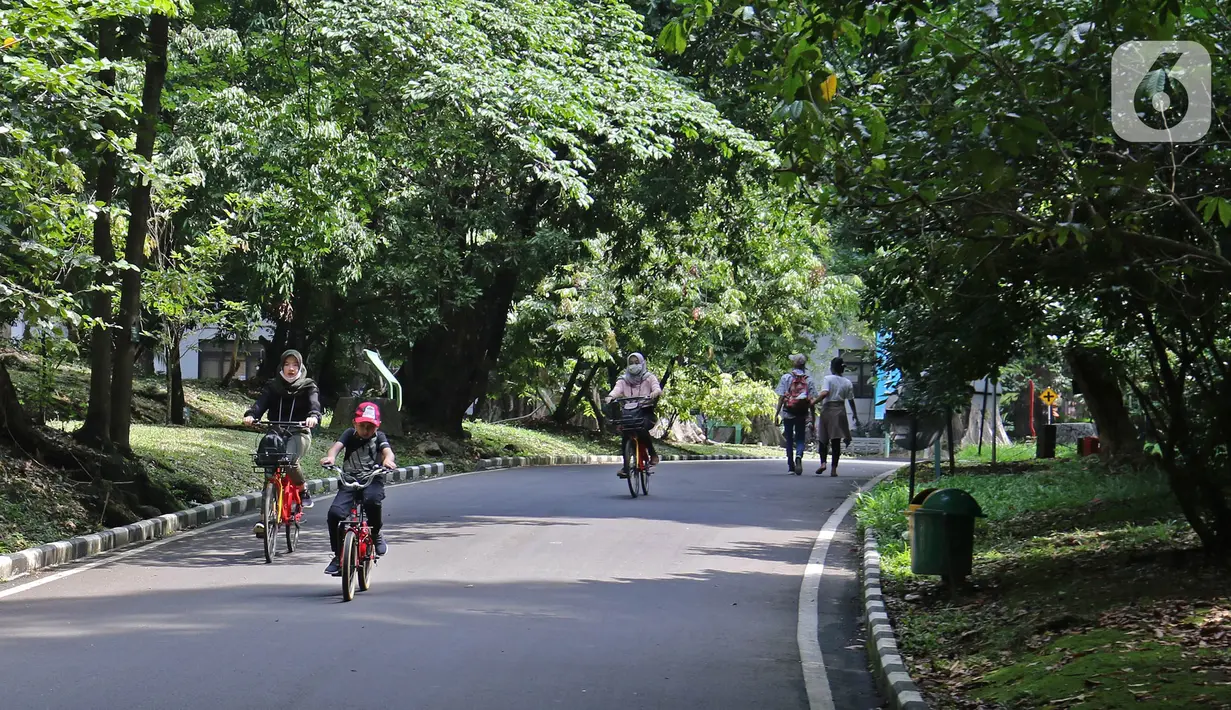 Kebun Raya Bogor Kembali Dibuka: Pengunjung bersepeda di Kebun Raya Bogor, Jawa Barat, Selasa (7/7/2020). Kebun Raya Bogor menerapkan pemesanan tiket secara daring serta kapasitas pengunjung dibatasi hanya 50 persen. (Liputan6.com/Herman Zakharia)