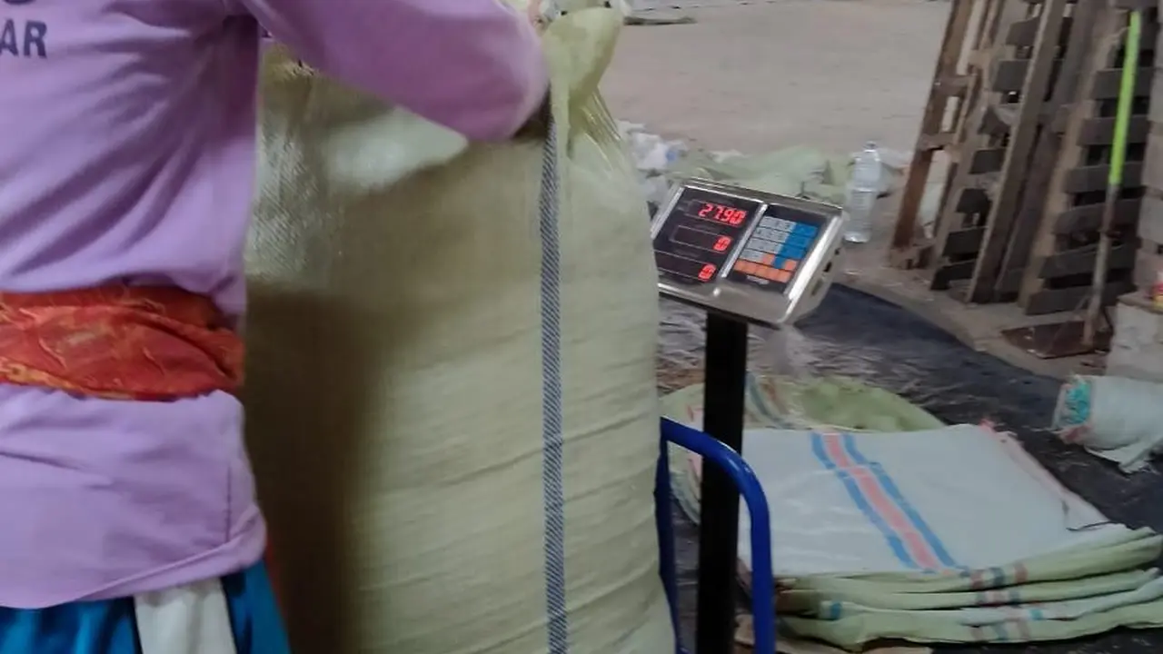 Produksi ampas kulit nanas asal Lampung