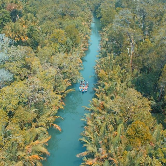 Taman Nasional Ujung Kulon Habitat Favorit Nyamuk Malaria