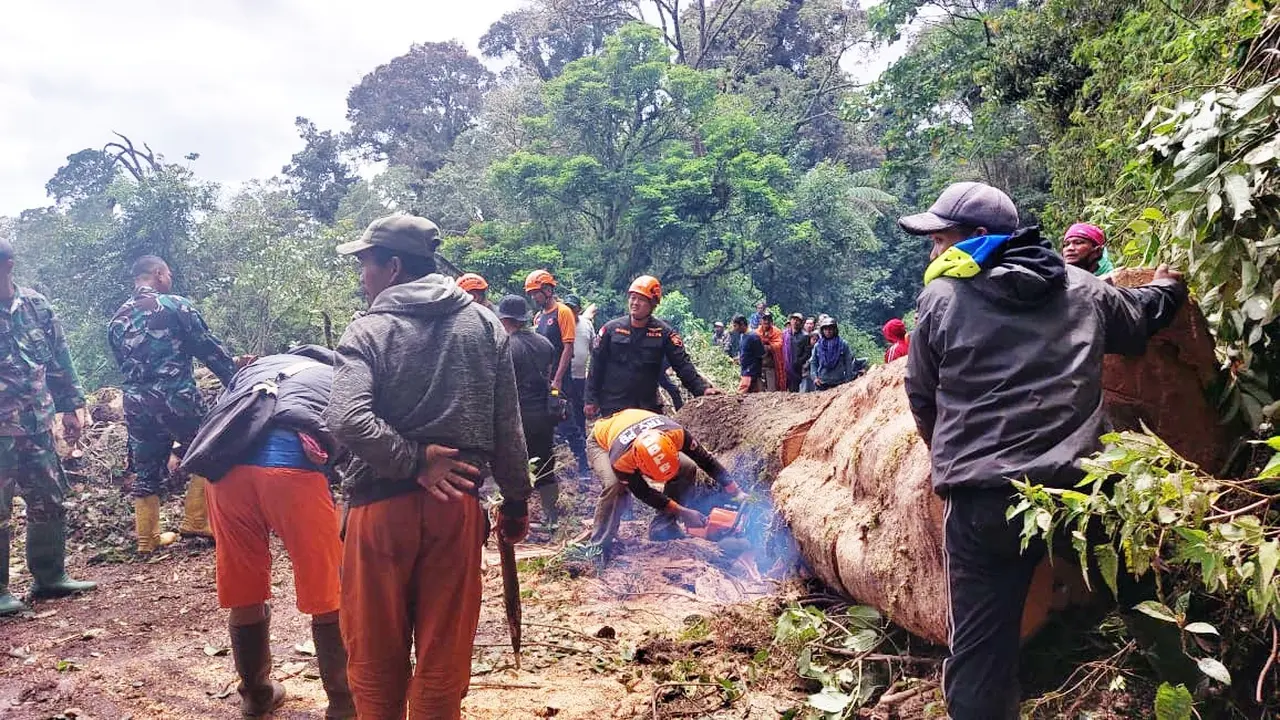 Evakuasi pohon tumbang di jalur penghubung Kabupaten Lumajang- Malang di Desa Ranupani, Lumajang (Istimewa)
