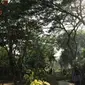 Kebun Bibit Wonorejo (Foto: Dok Humas Pemkot Surabaya)