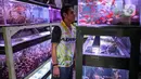 Warga melihat koleksi ikan hias yang dijual pedagang di Sentra Ikan Hias di Jalan Sumenep, Menteng, Jakarta, Sabtu (18/7/2020). Menurut para pedagang, selama pandemi Covid-19 ini, dagangannya banyak diserbu warga untuk mengisi kegiatan di rumah. (Liputan6.com/Faizal Fanani)