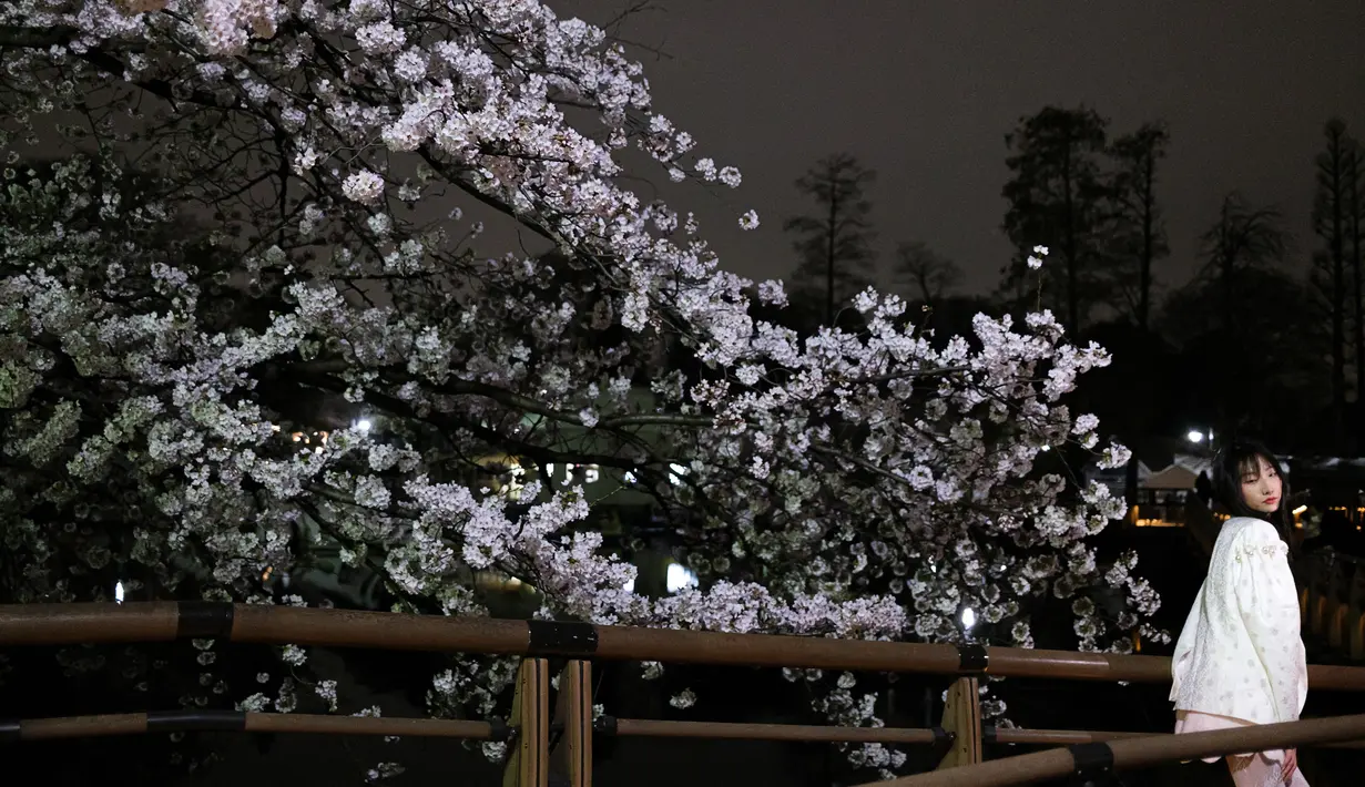 Seorang wanita berpose di samping bunga sakura yang bermekaran saat malam hari di Taman Inokashira di Tokyo, Jepang (29/3/2022). (AFP/Philip Fong)