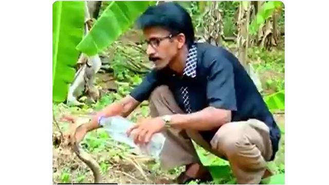 Pria Ini Beri Air Minum Ke Ular Kobra yang Tampak Kehausan, Netizen: Merinding