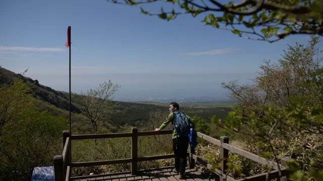 Pesona Menakjubkan Pulau Jeju Korea Selatan
