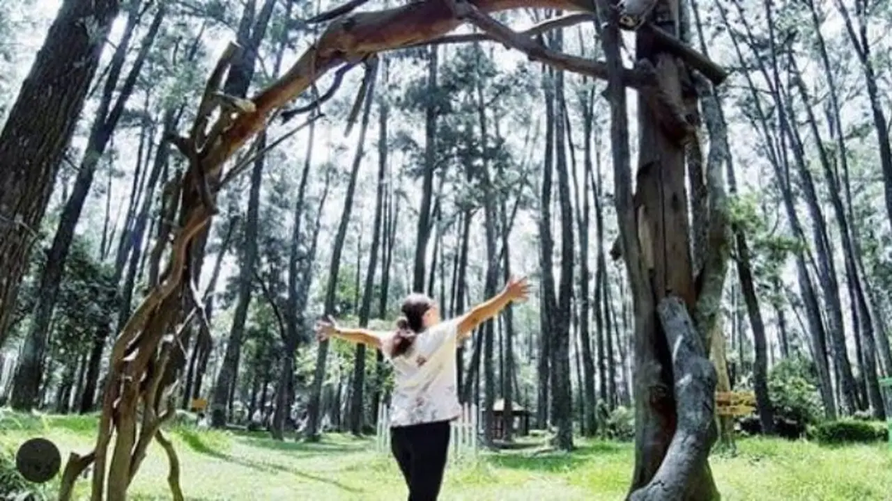 Taman Wisata Alam Punti Kayu