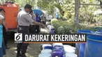Bupati Kulon Progo mengumumkan status darurat kekeringan di daerahnya. Hingga kini sudah tujuh kecamatan yang meminta bantuan air bersih.