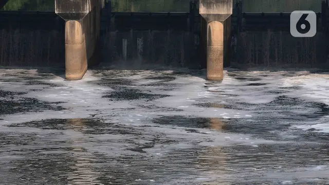 busa limbah rumah tangga di Kanal Banjir Timur