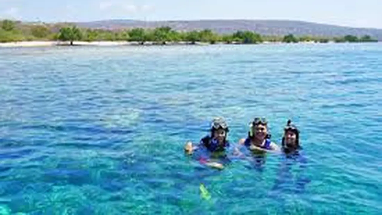 Para wisatawan menimkati indahnya pemandangan bawa laut di Pulau Tabuhan Banyuwangi (Istimewa)