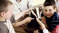 6 Manfaat Hebat Ajak Anak Liburan ke Kebun Binatang