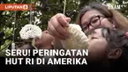 Sederhana namun hikmat. Itulah suasana peringatan ke-79 hari kemerdekaan RI di ibu kota AS dan New York.  Meski jauh di rantau, diaspora dan warga Indonesia di AS mengikuti berbagai tradisi yang menciptakan suasana seperti di Tanah Air. Selengkapnya ...