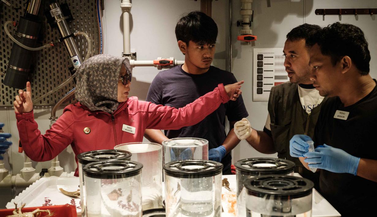 Para ilmuwan Indonesia mempelajari ekosistem laut dalam Indonesia yang masih jarang tersentuh dalam kajian-kajian ilmiah. Tampak dalam foto yang diambil pada 9 Januari 2026 menunjukkan spesialis krustasea Indonesia Pipit Pitriana (kiri) dari Badan Riset dan Inovasi Nasional (BRIN) sedang mendiskusikan spesimen laut dalam yang dikumpulkan oleh kapal selam dengan ilmuwan kelautan lainnya di OceanXplorer, sebuah kapal penelitian yang dioperasikan oleh organisasi nirlaba kelautan OceanX, di perairan lepas pantai pulau Sulawesi. (YASUYOSHI CHIBA/AFP)