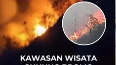 Kebakaran hutan dan lahan (karhutla) kembali melalap kawasan Taman Nasional Bromo Tengger Semeru(TNBTS).Pihak pengelola menutup sebagian pintu akses utama mulai Senin malam (3/8/2026) pukul 22.00 WIB hingga batas waktu yang belum ditentukan.Jalur yang ditutup total meliputi pintu Jemplang dan Cob...