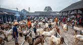 Kambing-kambing dipajang untuk dijual di pasar ternak menjelang hari raya Idul Adha, di Ambarawa, Jawa Tengah pada Sabtu 16 Mei 2026. (DEVI RAHMAN/AFP)