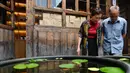 Para pengunjung mengamati ikan mas hias di sebuah museum di Sanfangqixiang (Tiga Jalur dan Tujuh Lorong), Kota Fuzhou, Provinsi Fujian, China, 23 September 2020. Lebih dari 3.000 ikan mas hias dari sekitar 100 spesies dipamerkan di museum tersebut. (Xinhua/Wei Peiquan)