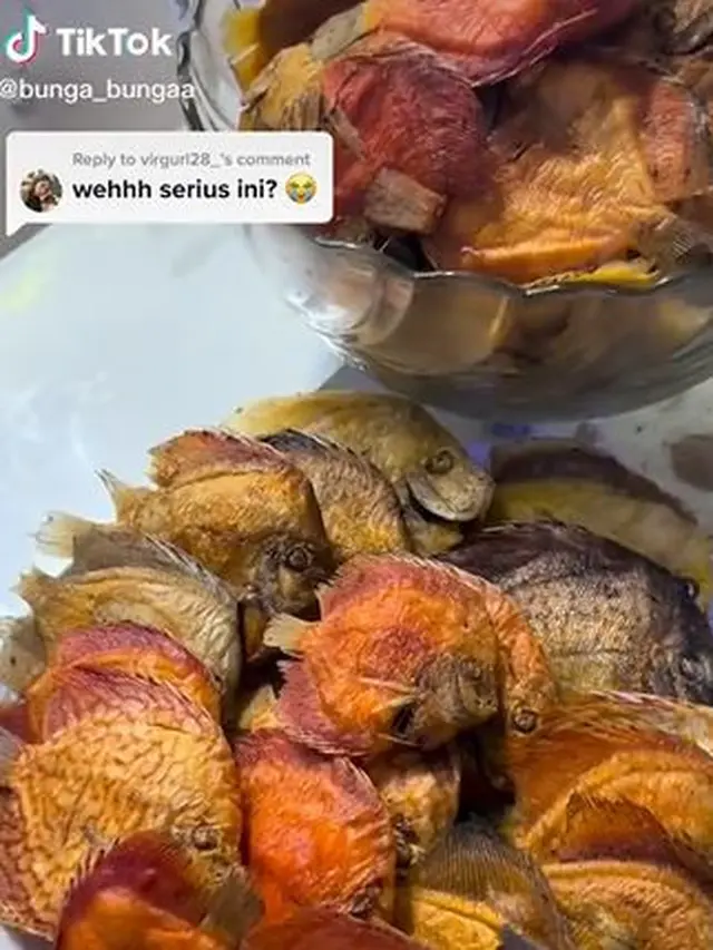 Kurang Perhatian, Istri Nekat Goreng Ikan Hias Seharga Mobil Milik Suami
