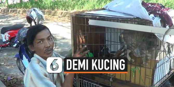 VIDEO: Viral, Demi Urus Kucing, Pria Ini Rela Hidup Nomaden