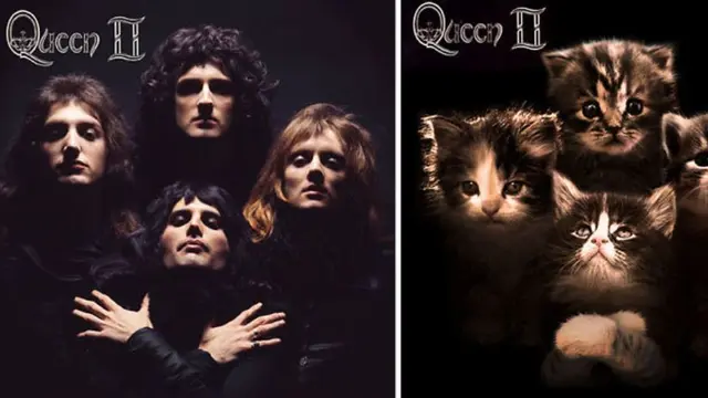 [Bintang] Ketika 10 Cover CD Ini Modelnya Diganti Sama Kucing! Gemas Parah!