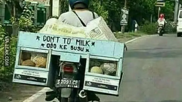 6 Tulisan Bahasa Inggris di Gerobak Jualan Ini Kocak, Bikin Tepuk Jidat
