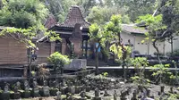 Ki Ageng Giring III: Menguak Jejak Leluhur Mataram Islam di Perbukitan Karst Gunungkidul