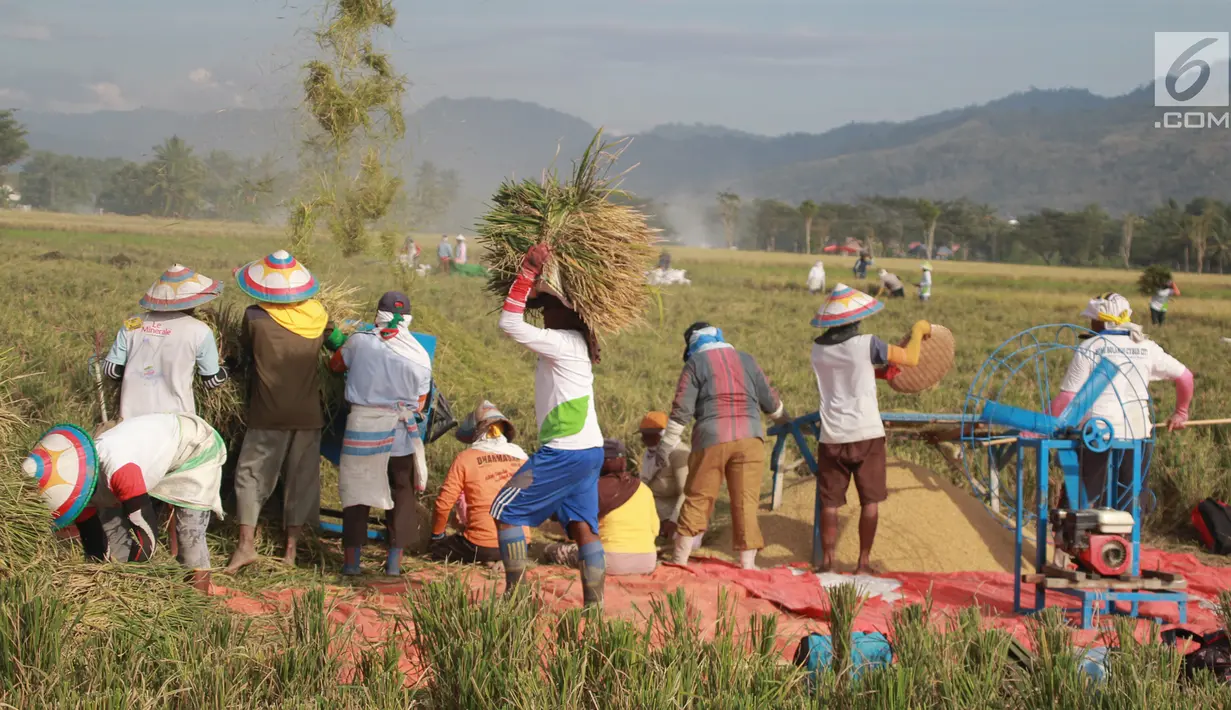 Sejumlah petani melakukan panen padi di sawah Desa Bube Baru, Kecamatan Suwawa, Kabupaten Bone Bolango, Gorontalo, Jumat (15/3). Mereka lebih memilih menggunakan tenaga manual untuk melakukan panen. (Liputan6.com/Arfandi Ibrahim)