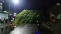 Penampakan salah satu pohon yang tumbang di titik Kota Cirebon. Foto (Istimewa)