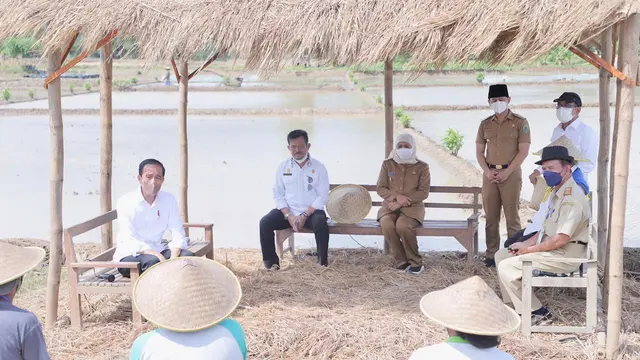 Jokowi menanam padi di Trenggalek. (Dian Kurniawan/Liputan6.com)