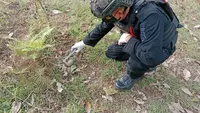 Temuan Granat Aktif Bikin Geger Warga Perkebunan Glenmore Banyuwangi