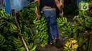 Kenaikan permintaan buah pisang pada Ramadan merupakan hal yang rutin terjadi setiap tahunnya. (Liputan6.com/Angga Yuniar)