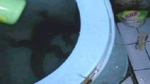 Bikin Elus Dada, 6 Potret Kamar Mandi Tak Terawat