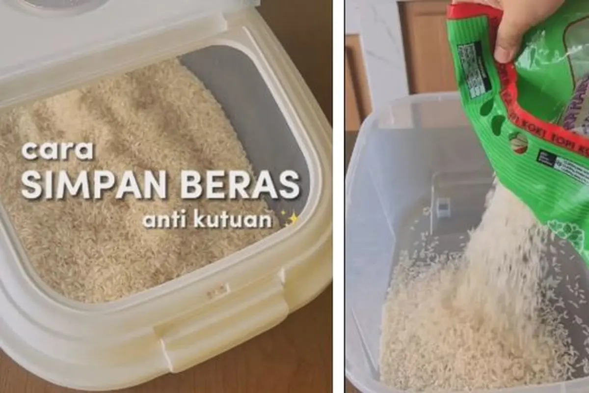 Tanpa Daun Jeruk atau Pandan, Cara Simpan Beras Seperti Ini Anti Kutu dan Bau Apek - Cuma Pakai 1 Bahan Dapur