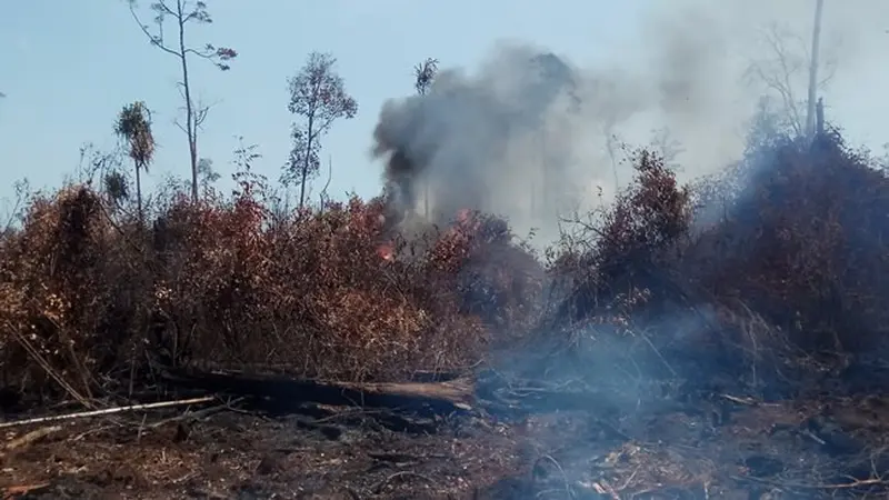 Karhutla yang melanda wilayah pesisir Riau beberapa waktu lalu.