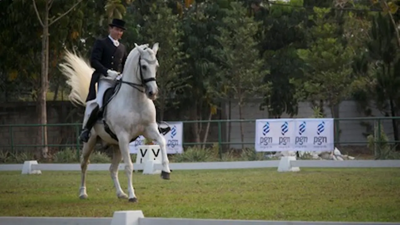 Juri Equestrian Dunia Puas Lihat Peserta WDC 2015 di Indonesia