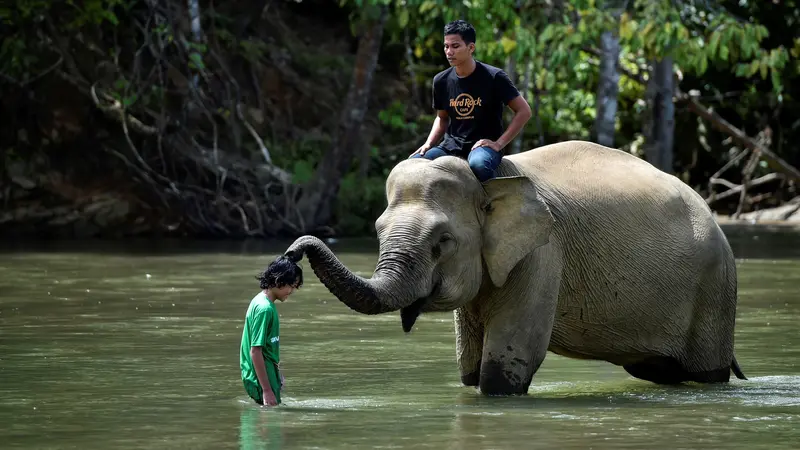 Wisata Konservasi Dibuka Lagi di Masa New Normal