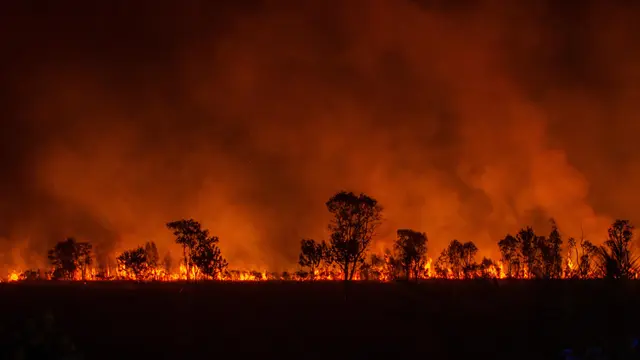 Kebakaran Hutan di Ogan Ilir Sumatera Selatan