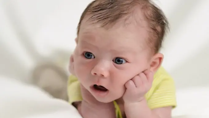 Foto: copyright captainmums.com