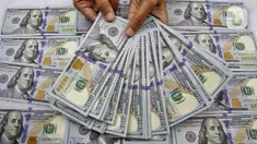 Teller menunjukkan mata uang dolar Amerika Serikat (USD) di tempat penukaran uang, Jakarta, Kamis (24/8/2023). Kurs rupiah (Rp) di pasar spot kembali perkasa hingga akhir perdagangan hari ini. (Liputan6.com/Angga Yuniar)